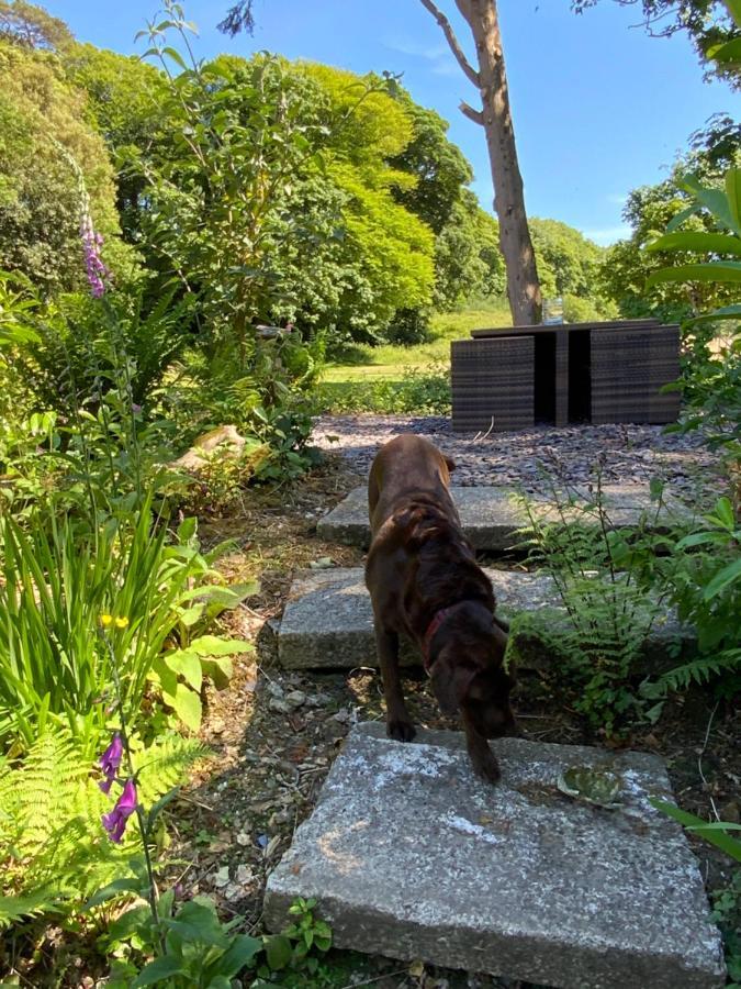 Red River Stables - Peaceful, Beautiful Grounds, Swimming Pool, Central Location For West Cornwall Camborne Eksteriør bilde