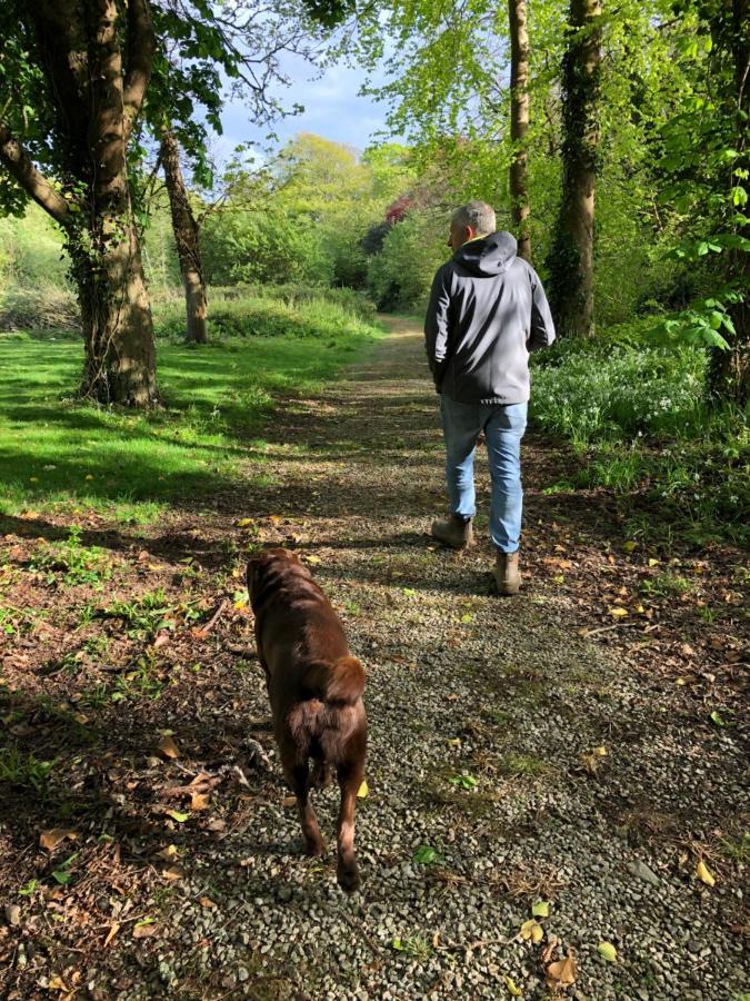 Red River Stables - Peaceful, Beautiful Grounds, Swimming Pool, Central Location For West Cornwall Camborne Eksteriør bilde
