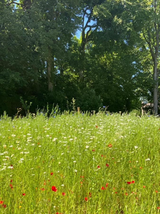Red River Stables - Peaceful, Beautiful Grounds, Swimming Pool, Central Location For West Cornwall Camborne Eksteriør bilde