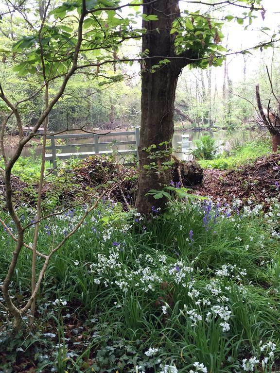 Red River Stables - Peaceful, Beautiful Grounds, Swimming Pool, Central Location For West Cornwall Camborne Eksteriør bilde