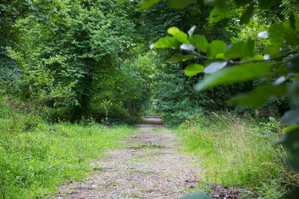 Red River Stables - Peaceful, Beautiful Grounds, Swimming Pool, Central Location For West Cornwall Camborne Eksteriør bilde